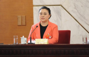 马克卿大使在布拉格第九区参观中国商人